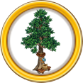 iconSequoia.png