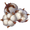 itemCotton.png