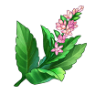 itemPatchouli.png