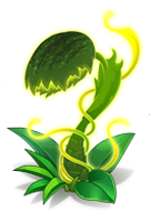 sundew_b.png