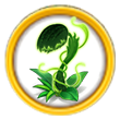 sundew.png