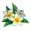 itemCollectionFlower2.png