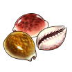 itemCollectionSeashell3.png
