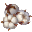 itemCotton.png