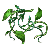 itemLiana.png