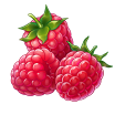itemRaspberry.png