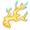 itemCoralYellow.png