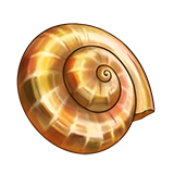 itemCollectionSeashellSnail.png
