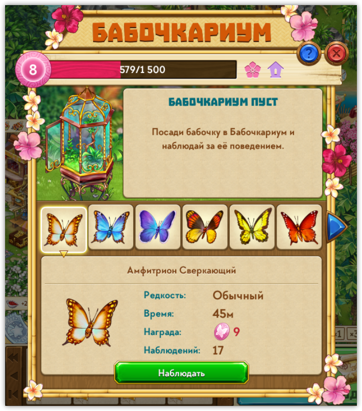 бабочкариум.png